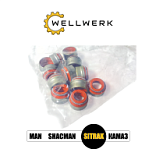 SITRAK 202V049020033 Колпачок маслосъемный